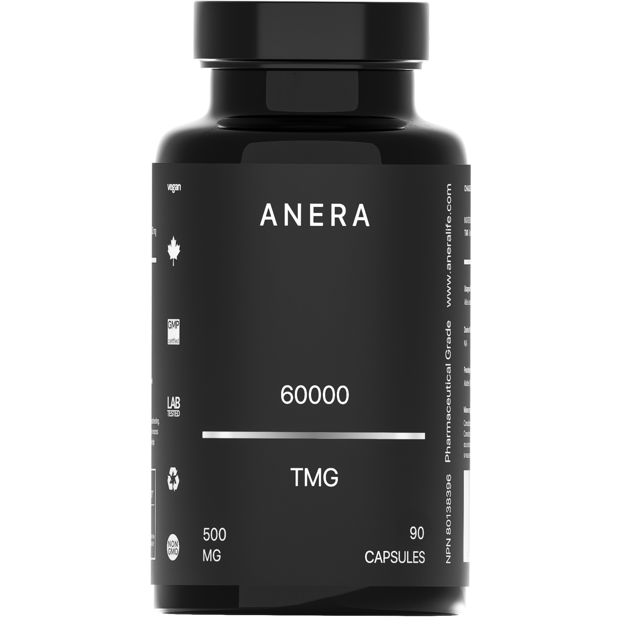 TMG 45000