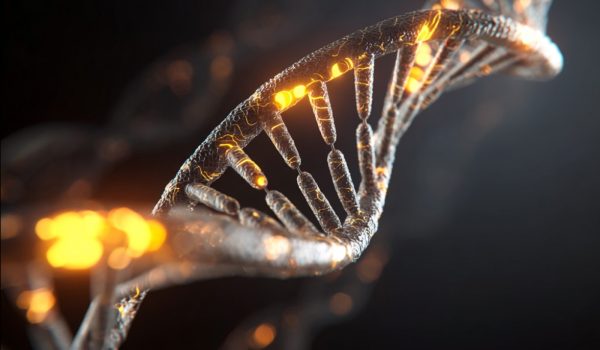 How to Increase NAD+ Levels Naturally